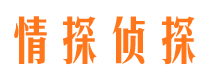 临沂外遇取证